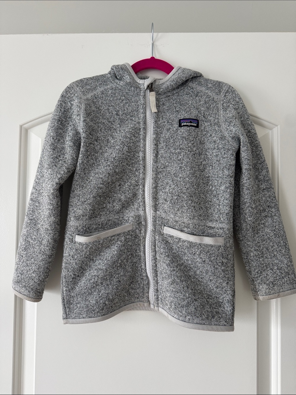 Patagonia Kids Gray Hooded Zip Fleece